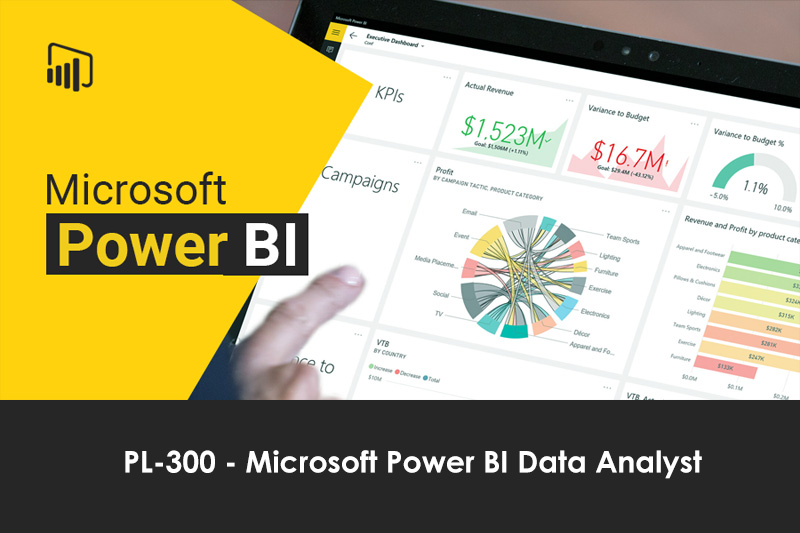 Microsoft Power BI Data Analyst